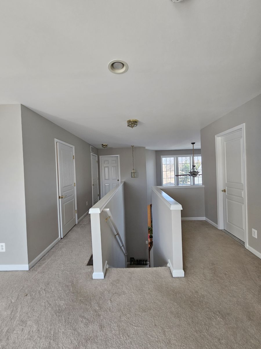 best painting contractor in lebanon borough nj